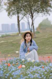 虞美人跟風失敗後，我拍到了絕美小雛菊！