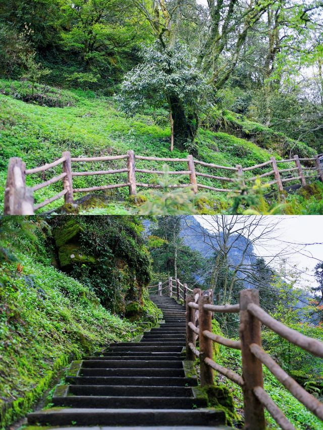 四川—峨眉山三刷全攻略！