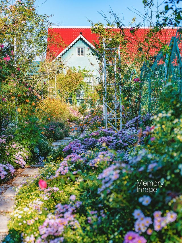 Winter Tour in Guangxi | Step into the Secret Red Roof Garden, as Romantic as a Monet Painting