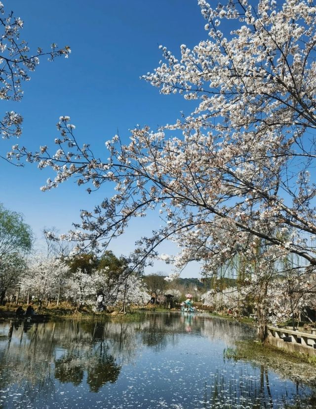 無錫拈花灣現在才知道