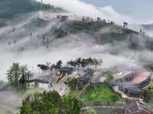 花筑奢·杭州｜來安頂山，邂逅品茶賞景的隱秘之地