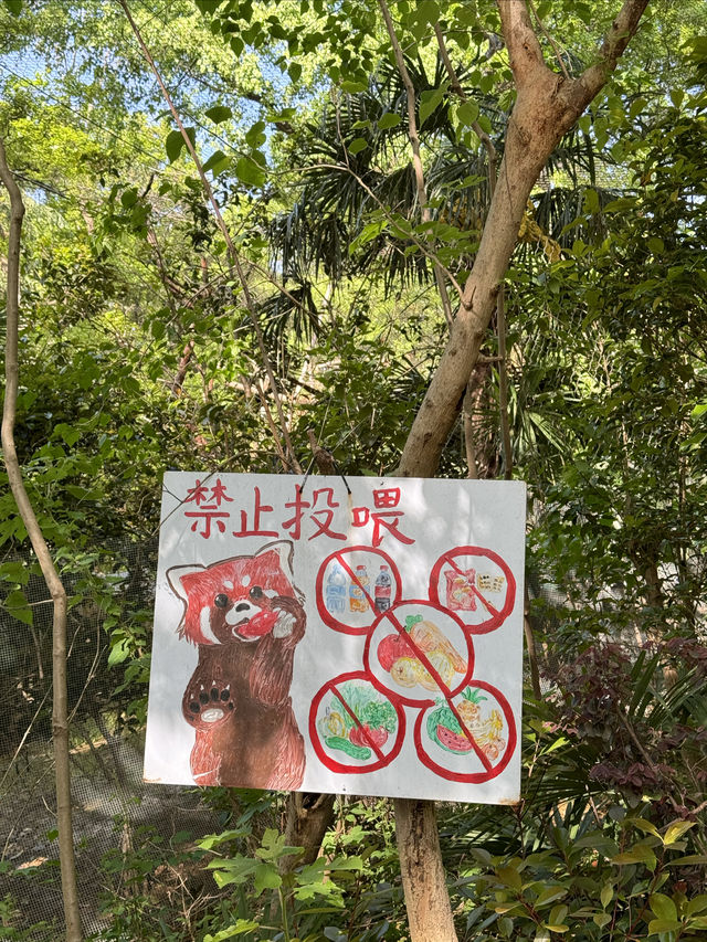 打卡南京紅山森林動物園！真的太讚了！必打卡景點！