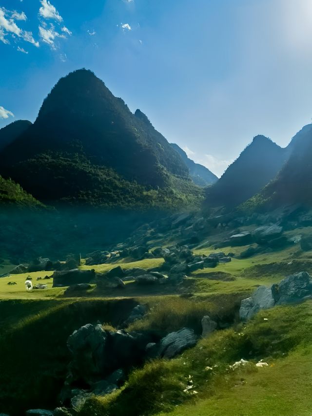 半日離城 | 去浪費時間的好地方