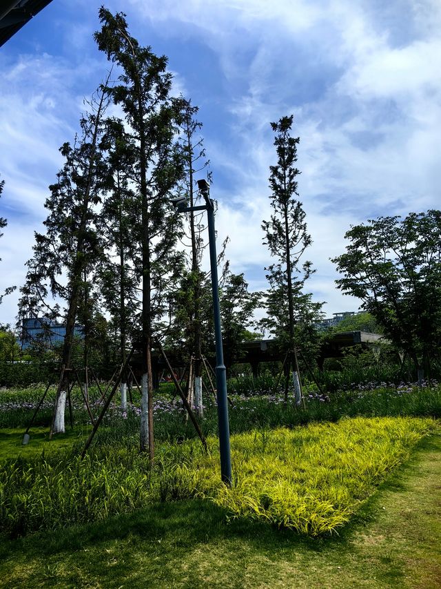 地下是停車庫｜地上是小河公園