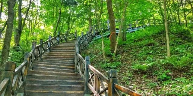 吉林露營