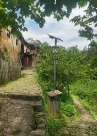 原生態的後壟古民居