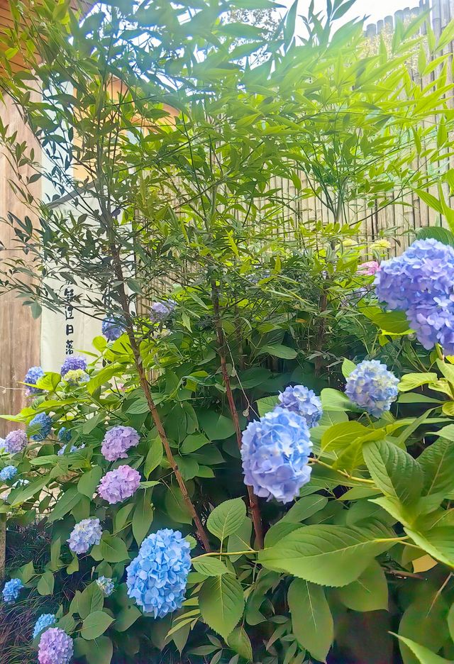 徽州秘境高山古村落，具有松馳感的民宿