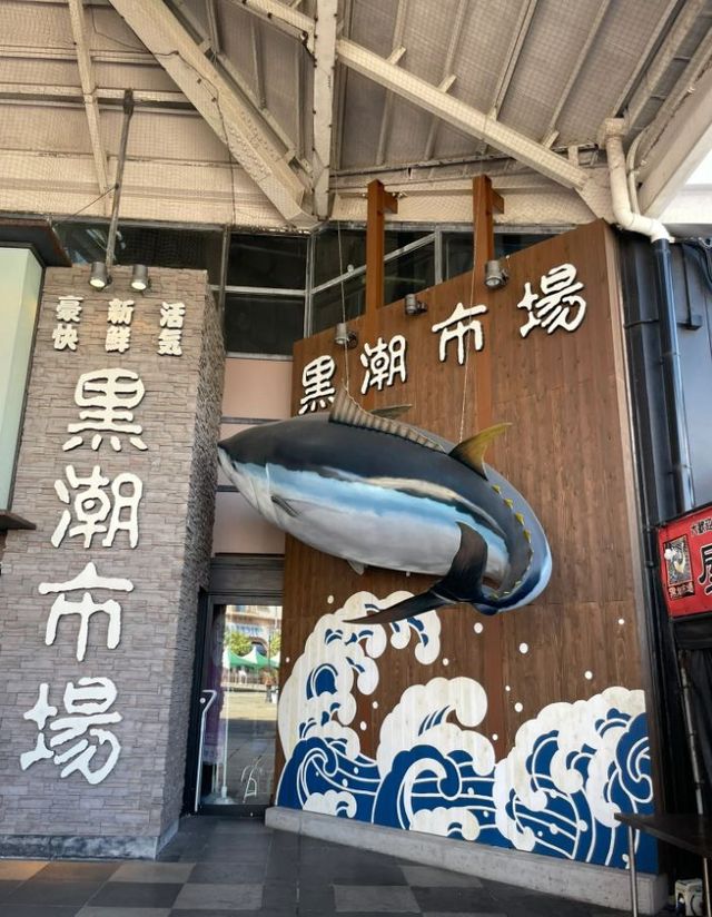 大阪出發和歌山一日遊，路線推薦~收藏。