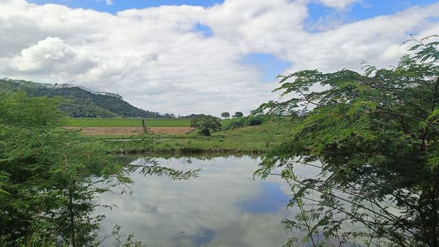 清遠飛來峽的水上公路