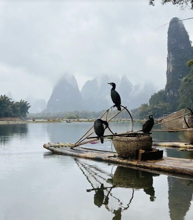 桂林漓江陽朔行：山水間的詩意漫遊
