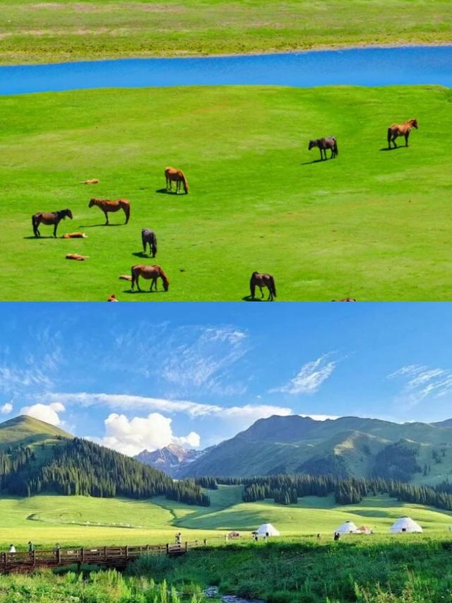 哇塞！內蒙竟然隱藏著這些絕美的景點！