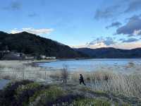 關東景點｜河口湖大石公園Oishi Park