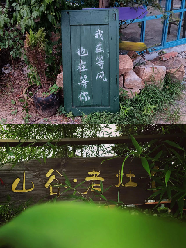 南京不老村︱解開那些不值得一提的迷茫