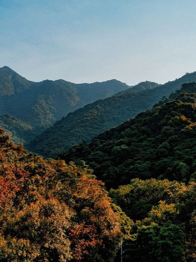 🌲 Shenzhen's Secret Mountain Retreat 🏡🌄 #SlowLifeSanctuary