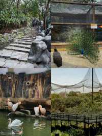 桑頓蒙特卡西諾飛鳥園，兩日遊攻略來啦！
