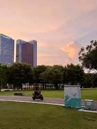 在佛山市區我找到了隱藏起來的花海公園