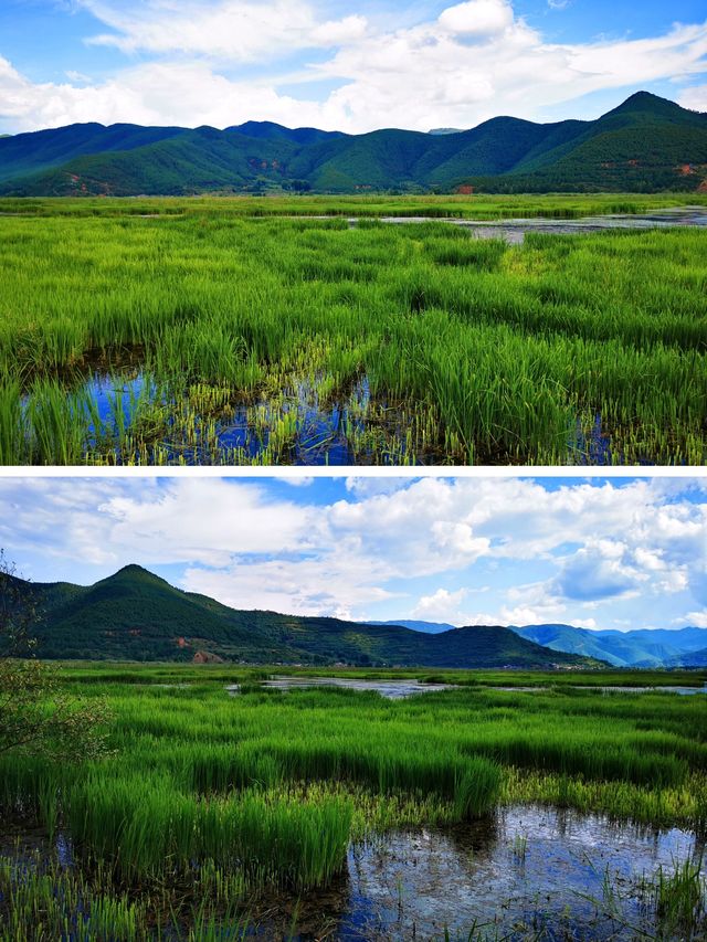 泸沽湖 | 行經婚姻大橋。