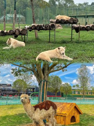 Changde Wildlife World, Hunan | A paradise for animal lovers.