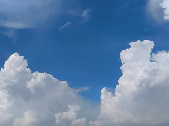 秦嶺野生動物園。