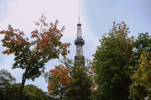 札幌｜4小時函館到札幌，行走在北海道的秋天。
