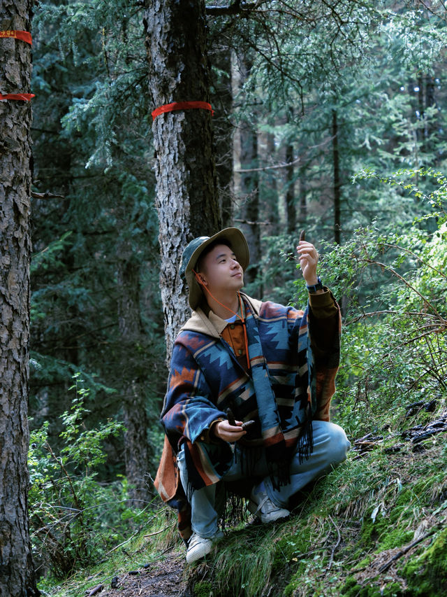 徒步焉支山，迷霧森林裡的小眾秘境。