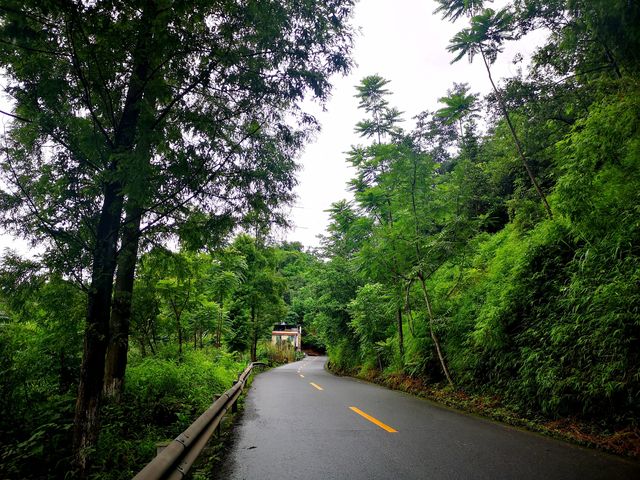 沐川大楠鎮——一個未經開發的人間仙境。