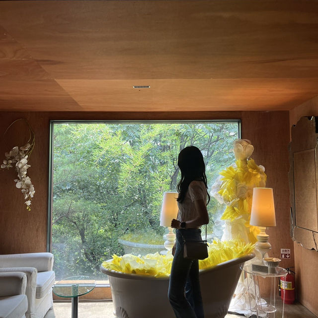하남에서 갤러리 작품뿐만 아니라 자연힐링까지 즐길 수 있는 곳🌳 
