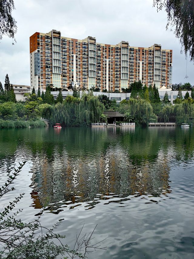 蓮花池公園 尋覓鬧市中的一刻寧靜。