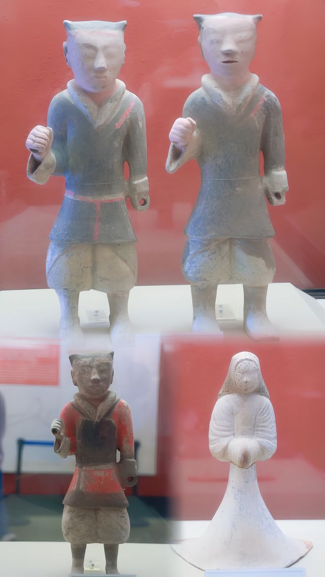 趕上夕陽的尾巴，欣賞粉黛花海。