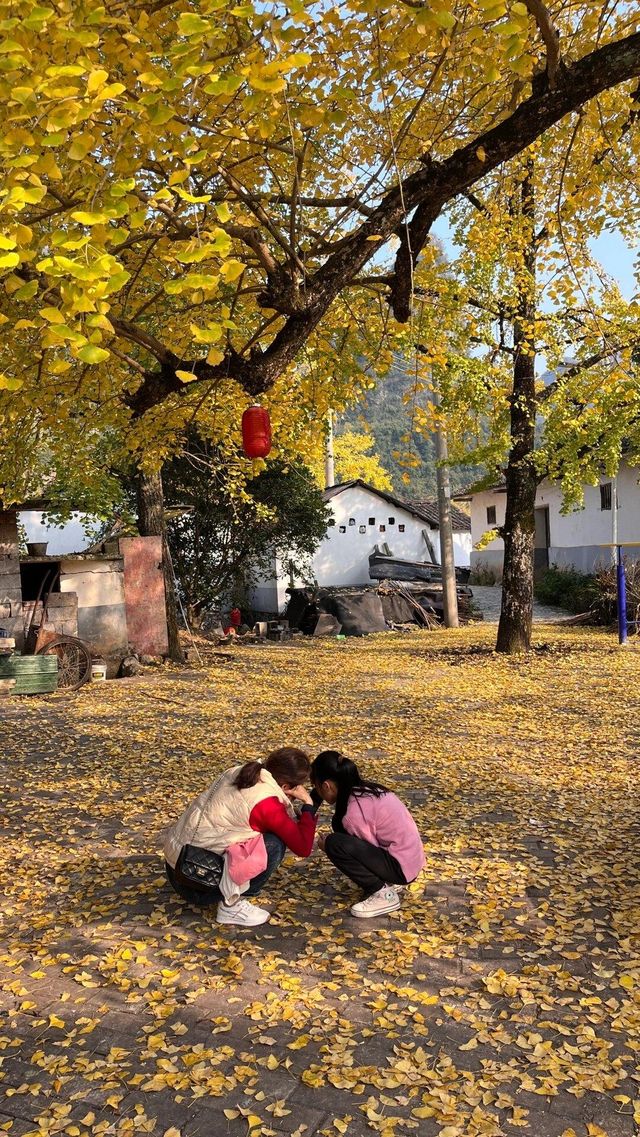 桂林漠川。