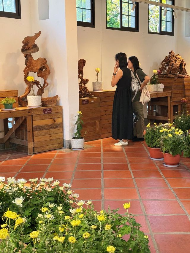 速看！中山公園菊花展遊玩攻略。