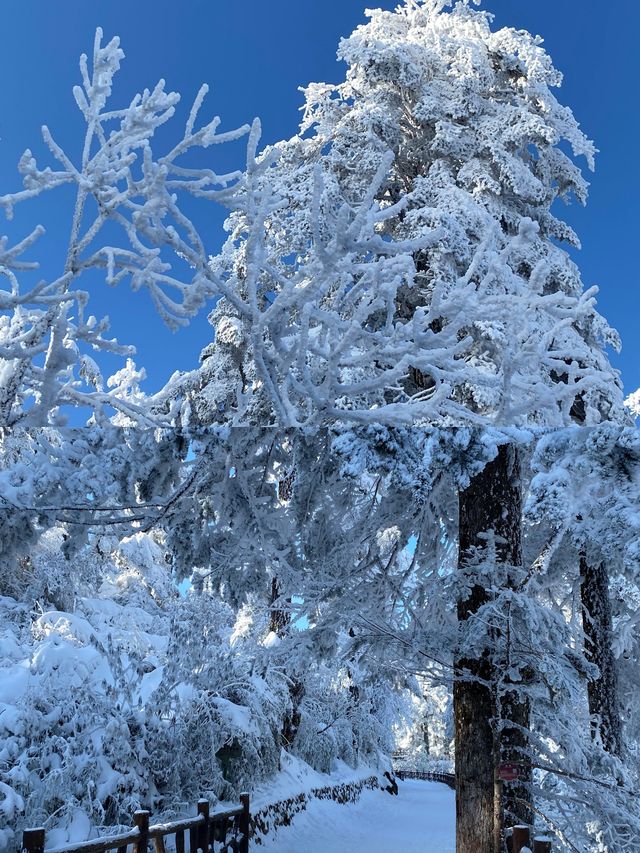 瓦屋山。