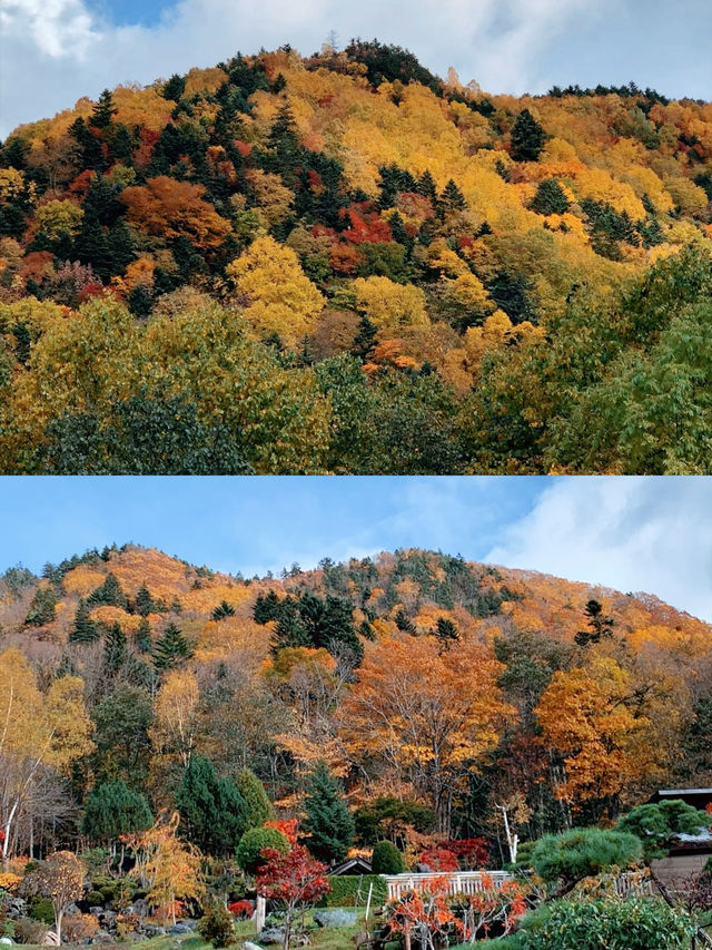 札幌賞楓圖鑑：豐平峽溫泉。