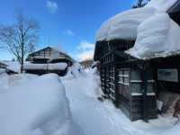 A Must-Visit Onsen Experience at Tsurunoyu
