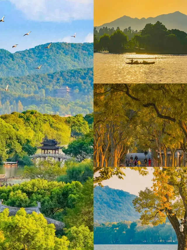 Fall in Hangzhou | 5 Fall Foliage Routes Recommended by Locals