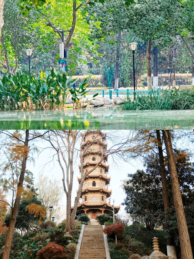 聽勸！！下月解放公園長這樣，一定要來。
