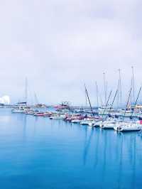 青島-曲阜-泰安6日遊 超詳細攻略玩轉三城不踩雷。