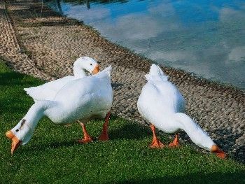 城市森林遛娃～附遊玩攻略。