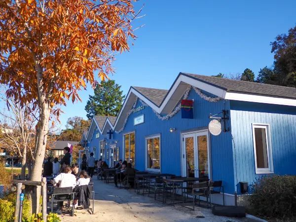 Discover the Charm of Saitama's Little Nordic
