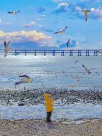 大連旅遊景點攻略