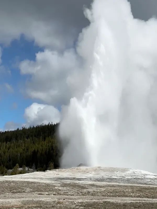 Yellowstone Park Truly Amazed Me!