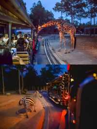 熬夜整理清邁夜間動物園の實用攻略。