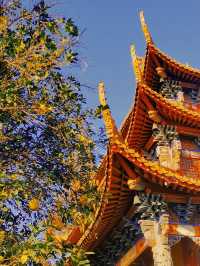 擁有千年古銀杏的能仁寺