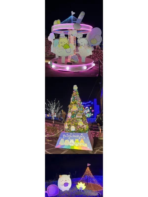 Kanto's Grand Light Show - Sagamiko Illumination