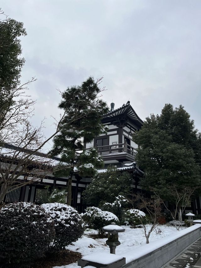 舟山2日遊 看海吃海鮮 絕了