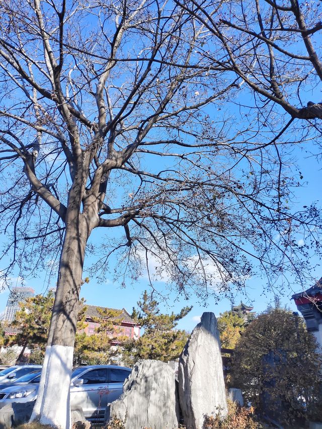 毓璜頂公園－瑤池園