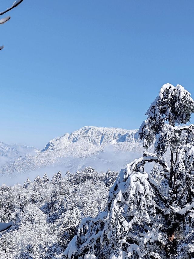 龍蒼溝雪景