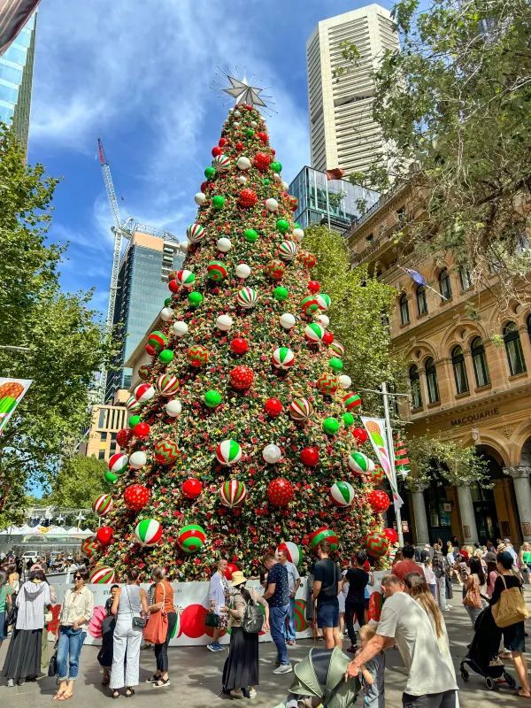 Sydney's Martin Place Hosts the Southern Hemisphere's Tallest Christmas Tree