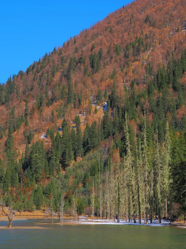 A 5-day itinerary for Chengdu, Mount Siguniang, and Xinduqiao