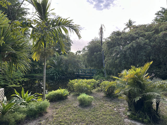 大島上的小植物園，人氣秘境